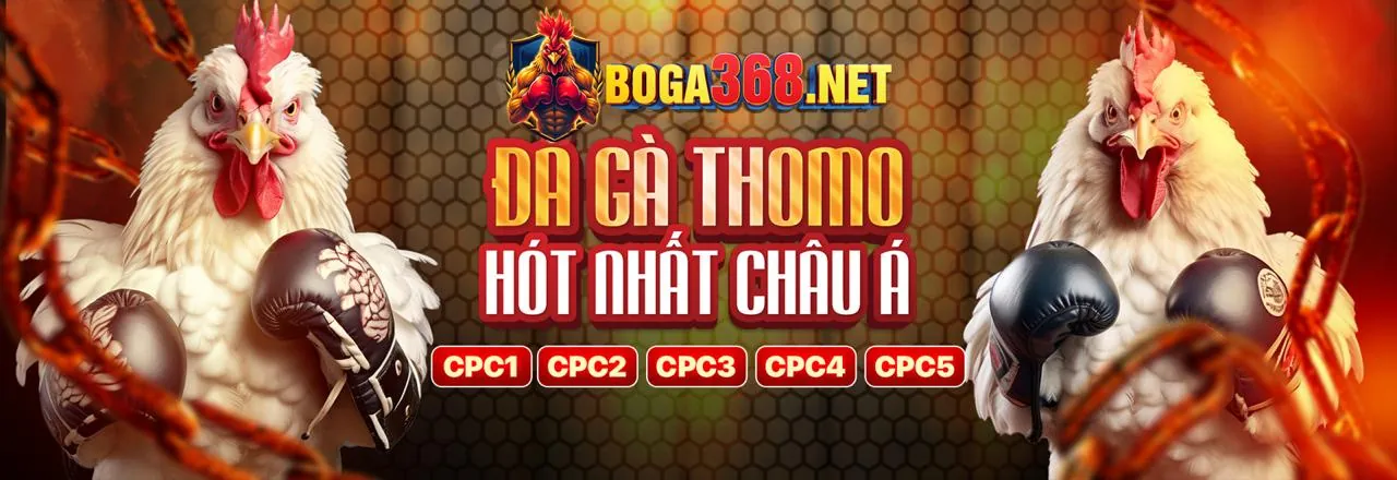 Đá gà trực tuyến Bwing Khuyến Mãi hấp dẫn 2026