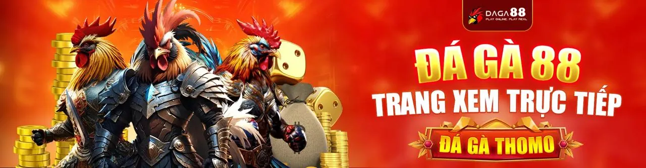 Đá gà bwing trực tuyến sôi động
