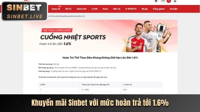 Các chương trình khuyến mãi bwing hấp dẫn cho đá gà